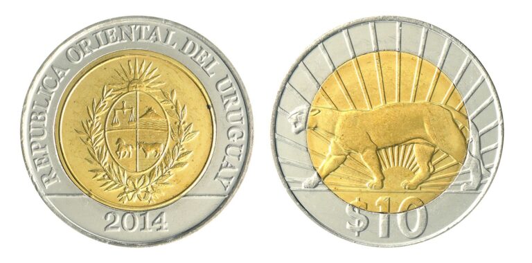 Read more about the article Uruguay 10 Pesos Uruguayos  2011-2015  KM #134  Mint