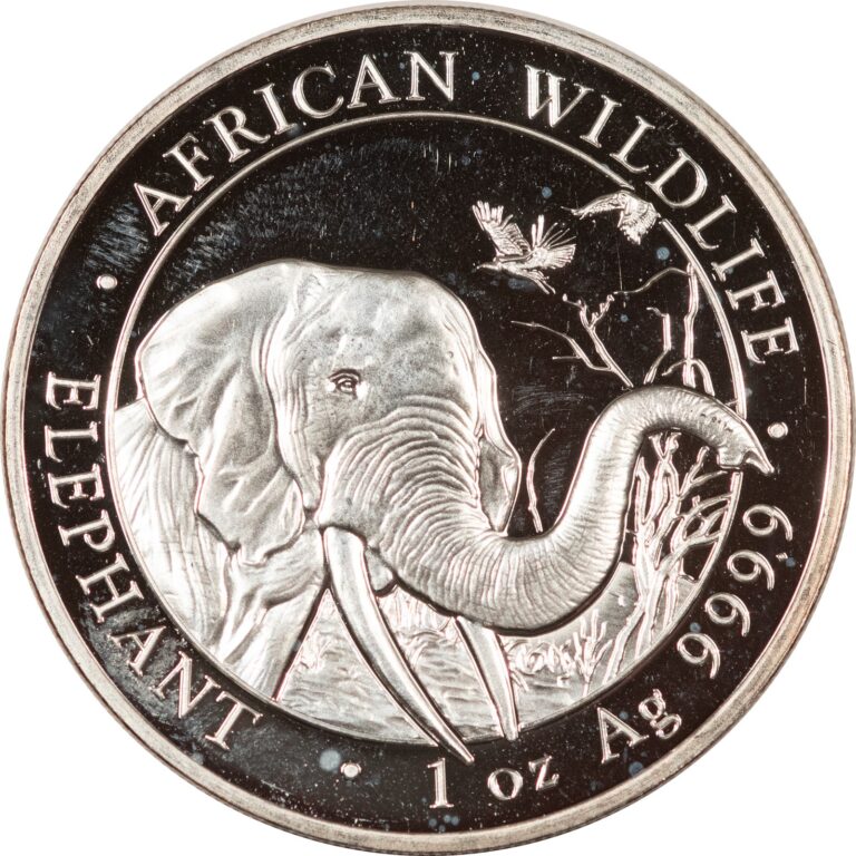 Read more about the article 2018 SOMALIA 100 SHILLINGS 1 OZ .999 SILVER AFRICAN ELEPHANT – GEM PROOFLIKE UNC